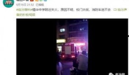 凌华爆料视频大全集最新,揭秘娱乐圈幕后真相